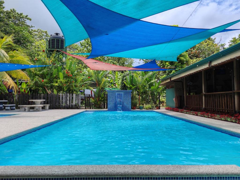 a pool with blue water and blue umbrellas at La Cuna Inn in Puerto Jiménez