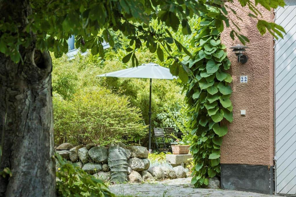 En have udenfor 4789-Ronne-Stampen-Vej-2-Hus-22