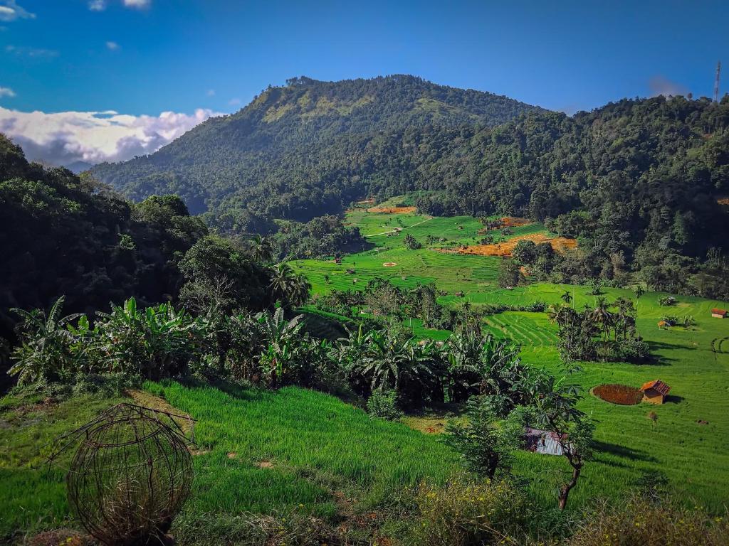 a green field with mountains in the background at Heeloya mount view garden in Teldeniya