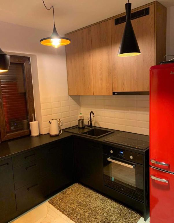 a kitchen with a red refrigerator and a sink at Domki nad stawem nr2 in Majdan Nowy