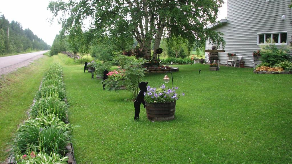 Un jardín fuera de Appartement de l'Ange