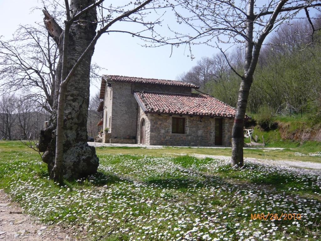 an old stone house in a field of flowers at Agriturismo il Vignale in Longi