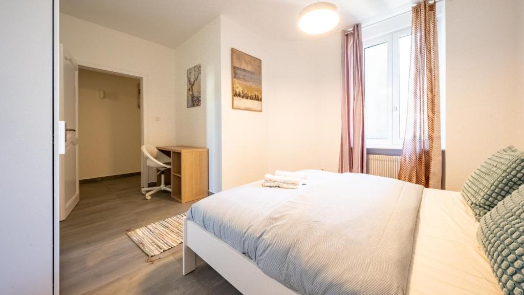 Appart Cocooning 6 Personnes Hyper Centre Mulhouse - Parking Gratuit – photo 12