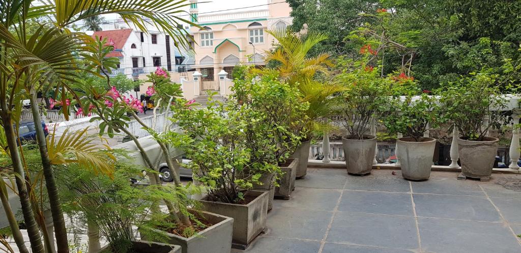 a group of potted plants in pots on a sidewalk at White Villa Guest House in Puducherry