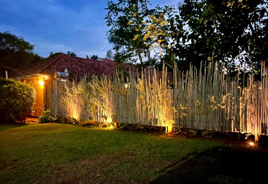 Imagine din galeria proprietății Buutu Nest în Jinja