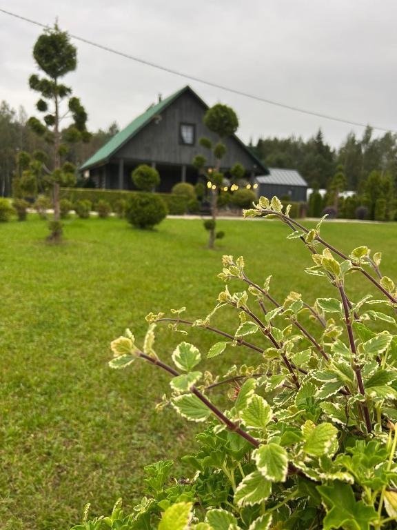 a house in the background with a green yard at Brīdis Sev in Ķekava