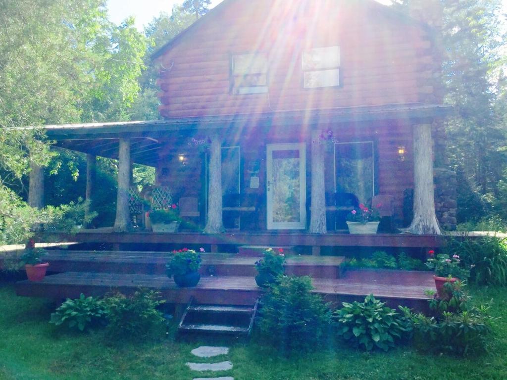 Κήπος έξω από το Log Cabin Adirondack Lodge on State Trail System