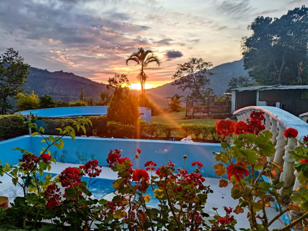 Billede fra billedgalleriet på La Esmeralda entre Montañas i Ibagué