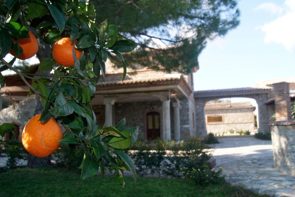 Zahrada ubytování Agriturismo L' Agrumeto
