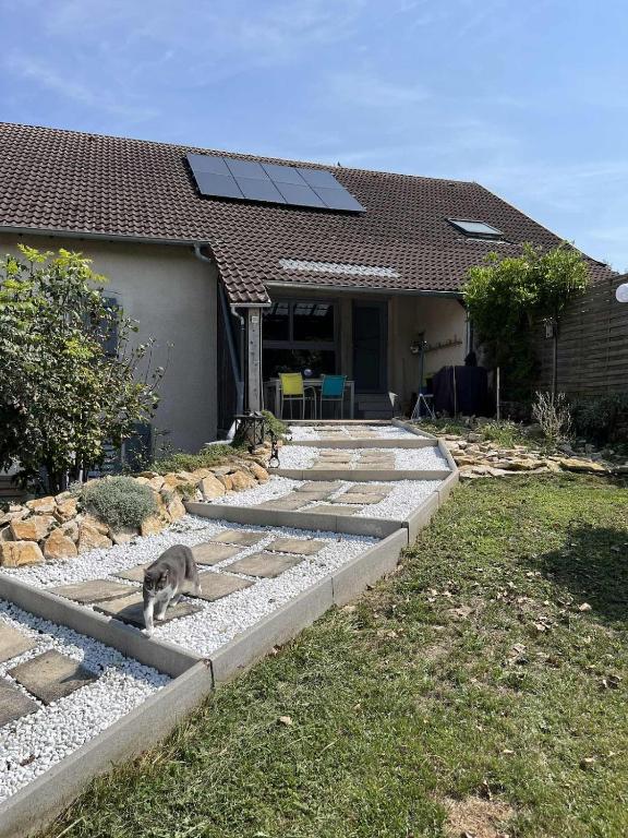 a cat laying on rocks in front of a house at Grange de Courbey in Chambornay-lès-Pin
