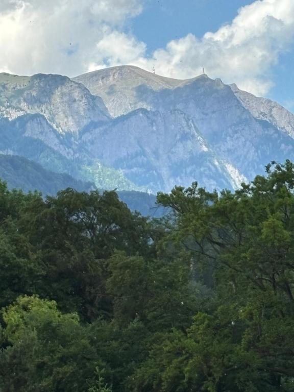 AVA Studio Sinaia - Resim 26