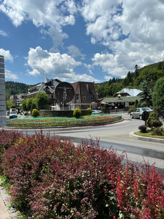 AVA Studio Sinaia - Resim 6