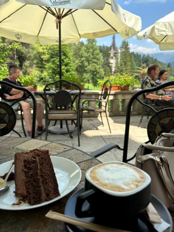 AVA Studio Sinaia - Resim 43