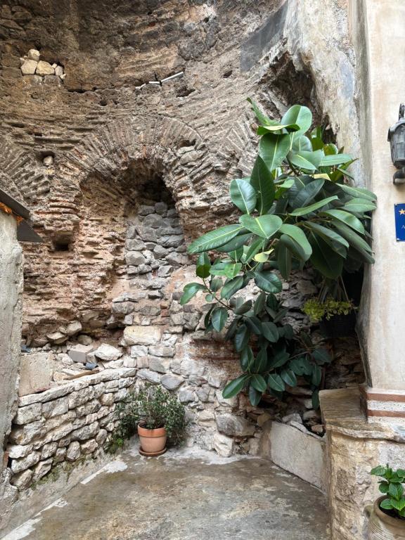 Studio Apartman Fictilis - 2