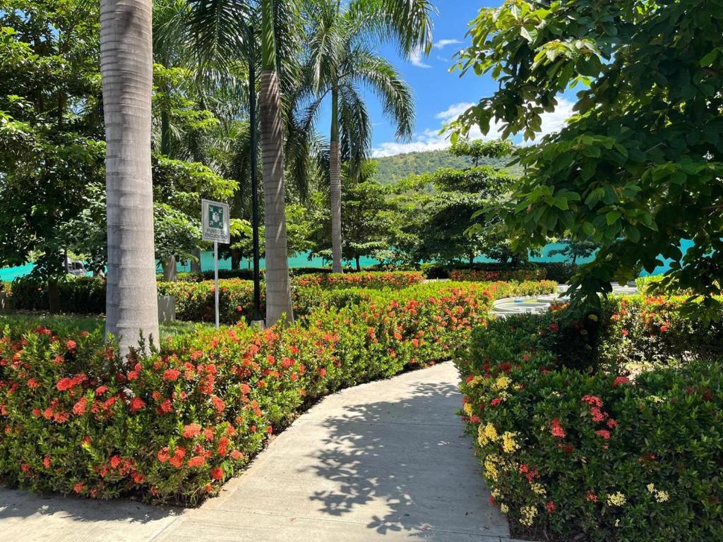 a garden with flowers and palm trees and a sidewalk at Apartasol vacacional in Santa Fe de Antioquia