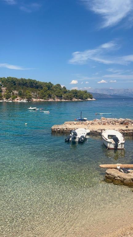 two boats are docked in the water on a beach at Mala Basina -Maslina in Vrbanj