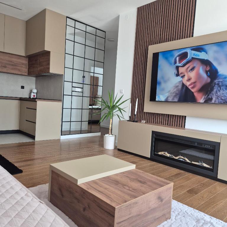 un soggiorno con tv e camino di V i N Boutique Apartment a Niš