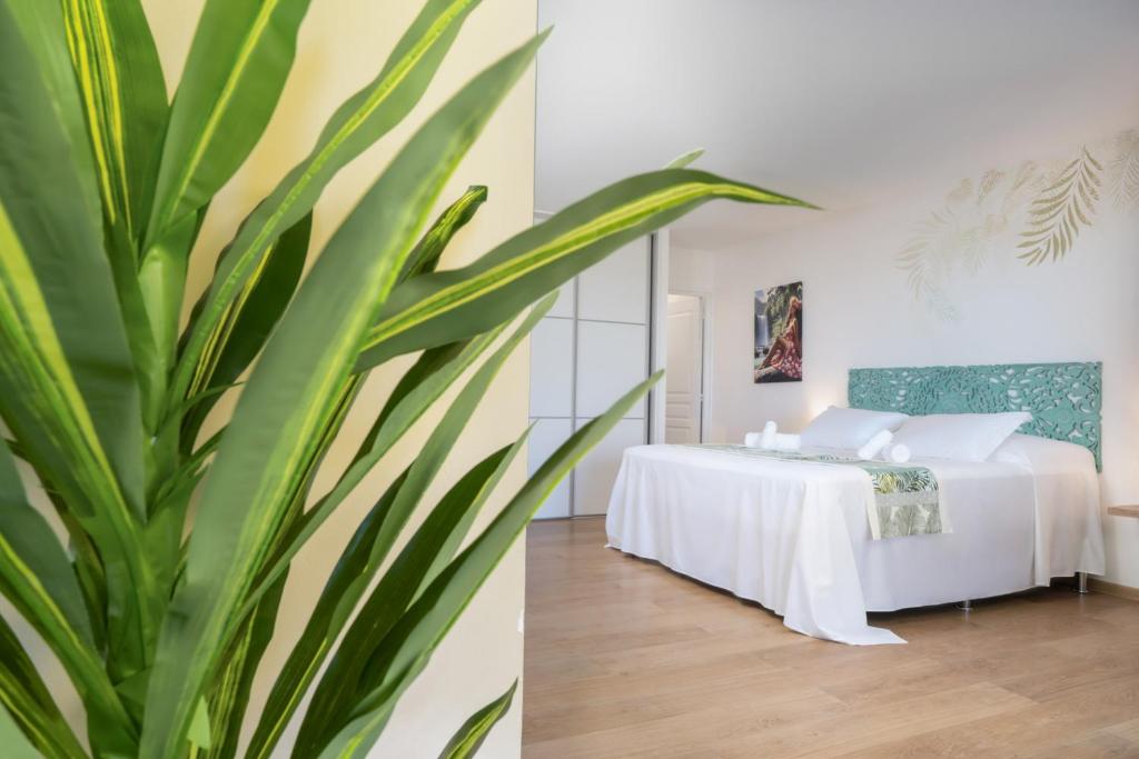 Ava Lodge - Studio dans résidence avec piscine - photo 9 - Tahiti, Polynésie