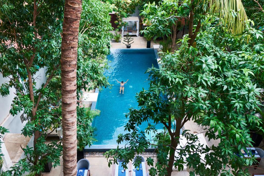 a swimming pool filled with lots of green plants at Blue Lime Phnom Penh in Phnom Penh