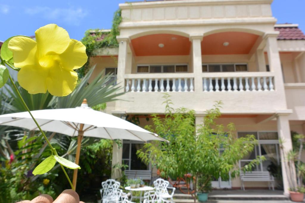 a person holding a yellow flower in front of a building at Bellalia 貝拉利亞 花蓮民宿 in Hualien City