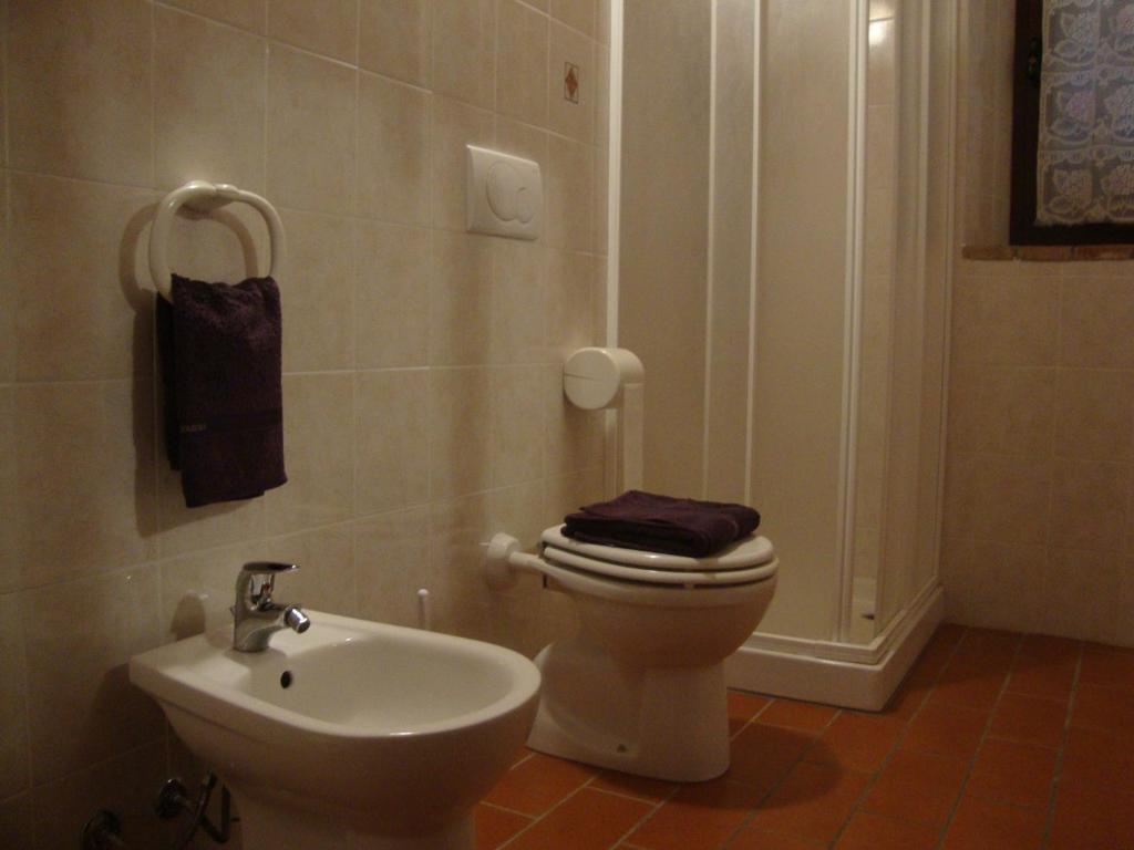 Kúpeľňa v ubytovaní Agriturismo Podere Selvette