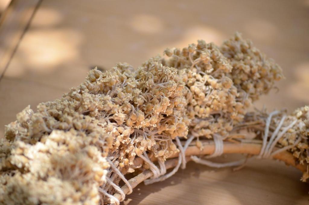 Lindos Esel Suites - 14