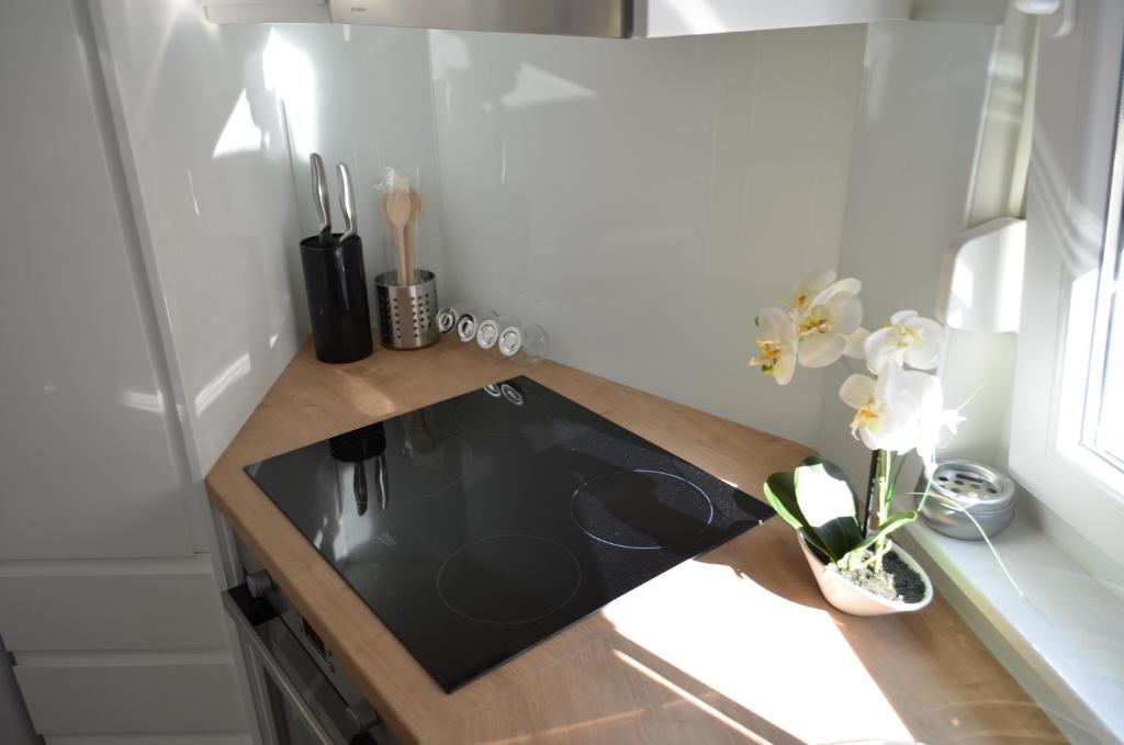 Kuchyňa alebo kuchynka v ubytovaní Apartment Ana Arbanasi
