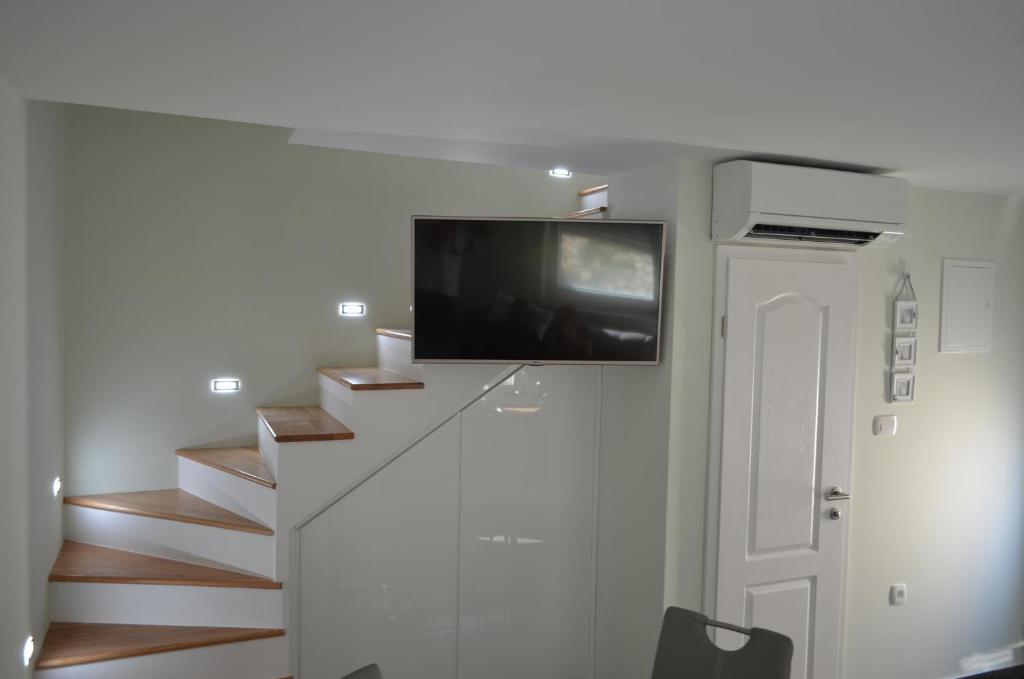 Televízia a/alebo spoločenská miestnosť v ubytovaní Apartment Ana Arbanasi