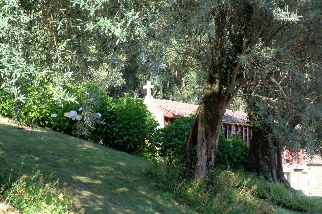 Zahrada ubytování Casa De Anquiao - Turismo de Habitação