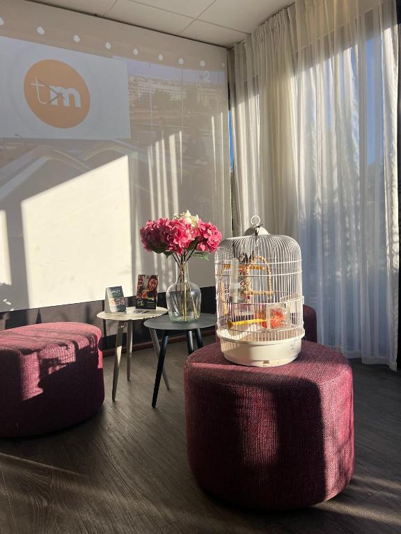 B&B HOTEL Toulouse Université - Resim 16