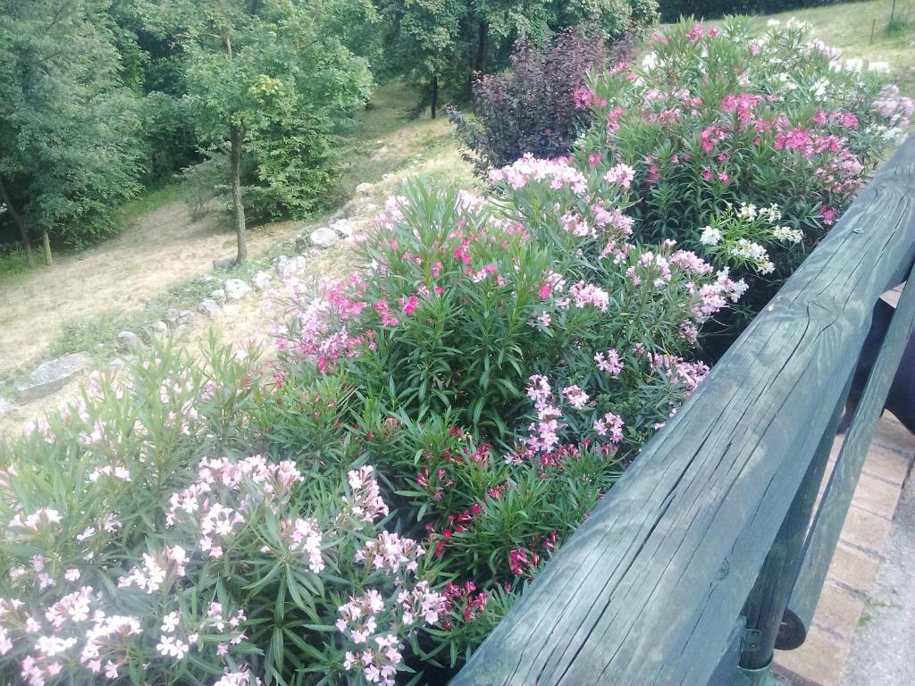 Zahrada ubytování B&B Il Suono del Bosco