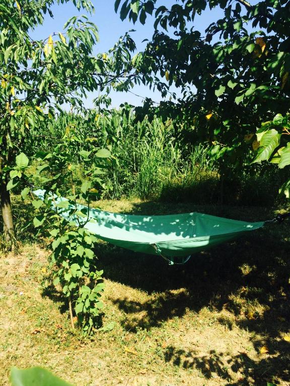Zahrada ubytování Morava Garden Resort