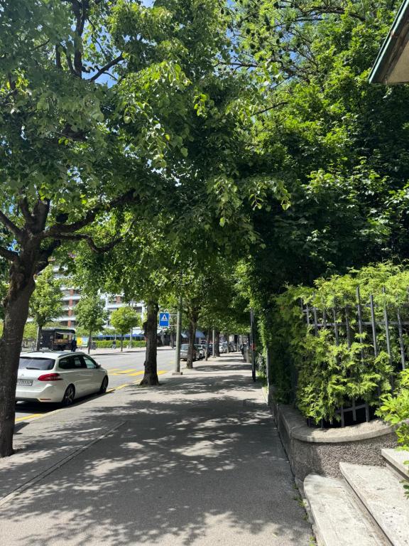a sidewalk with trees and a car parked on a street at Gemütliche Wohnung Centre Ville in Fribourg