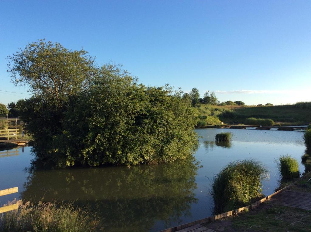 a body of water with a tree in the middle at Tansterne Grange in Aldbrough