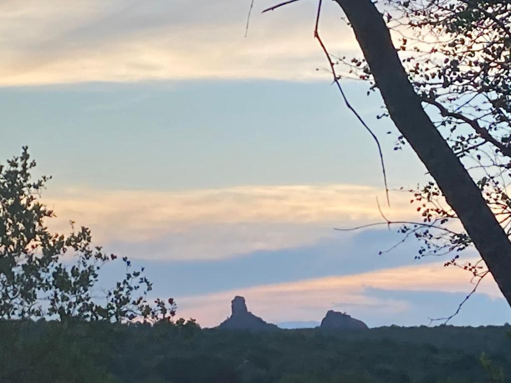 la sagoma di un albero con rocce sullo sfondo di Tjhora Sunset Cottage a Cambridge