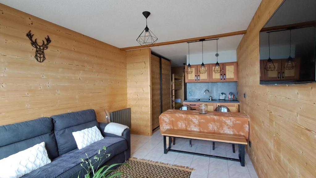 Et tv og/eller underholdning på appartement montagne- le petit Chaillol