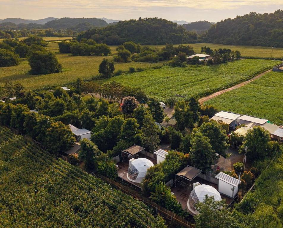 Ban Tha ChangChavallee Campground的享有农场的顶部景色,农场拥有树木和建筑