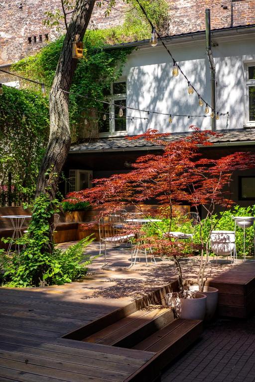 Sunny courtyard deck with red-leafed Japanese maple, string lights and white metal seating.