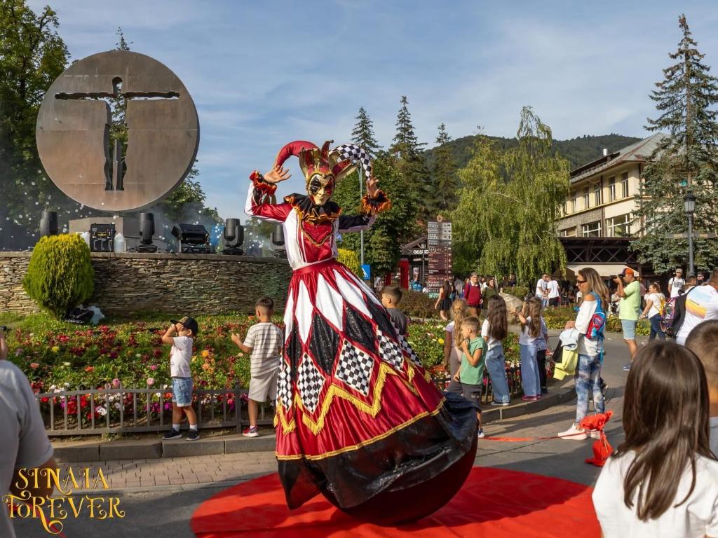 AVA Studio Sinaia - Resim 42