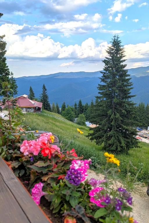 AVA Studio Sinaia - Resim 41