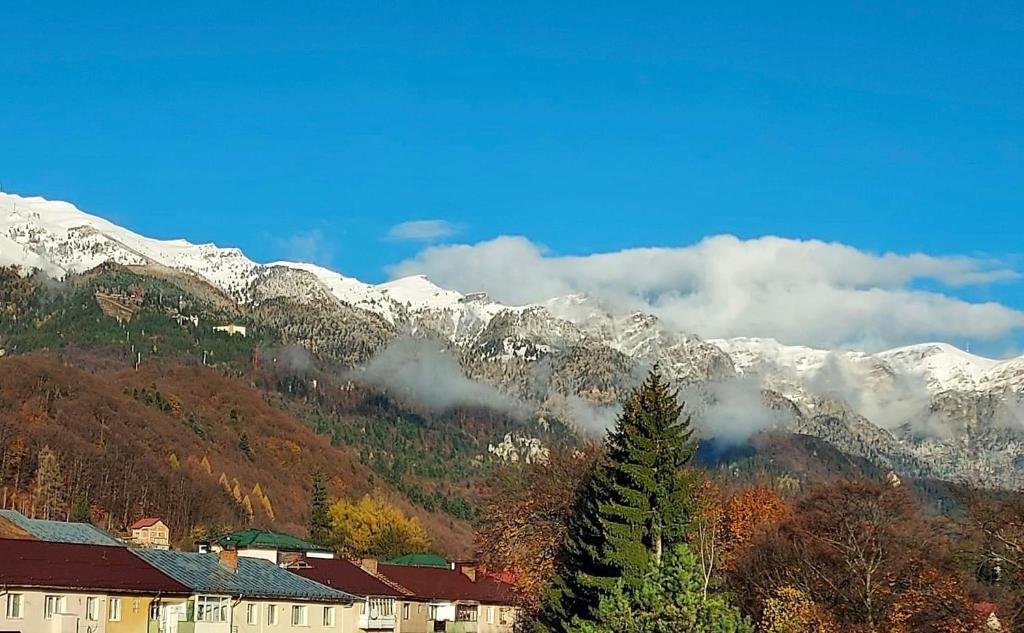 AVA Studio Sinaia - Resim 27