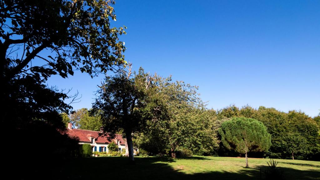 a house in a field with trees in the foreground at Chambre d'Hôtes La Ferme du Pré-Martin in La Génevraie