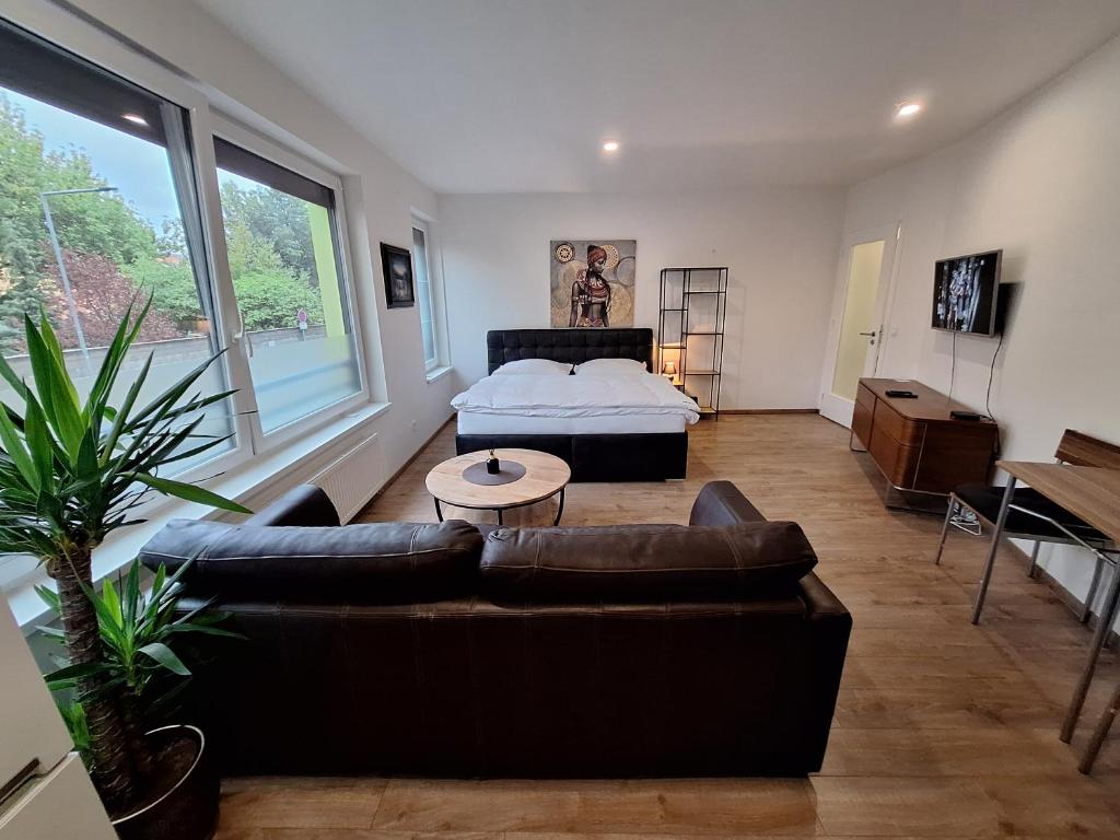 Entrez Apartments 5 - City center with small garden - 