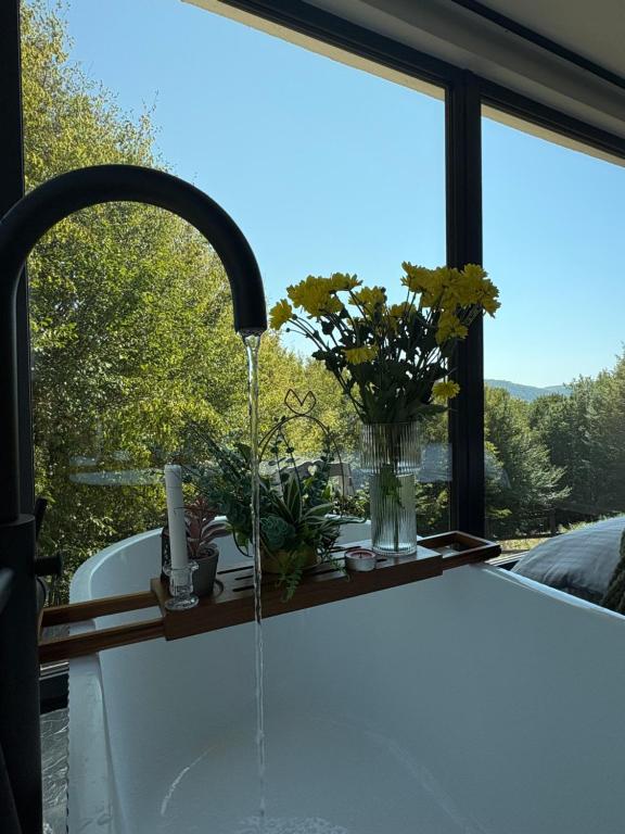 ein Waschbecken, aus dessen Wasserhahn Wasser kommt in der Unterkunft Tea House Ponoarele in Ponoarele