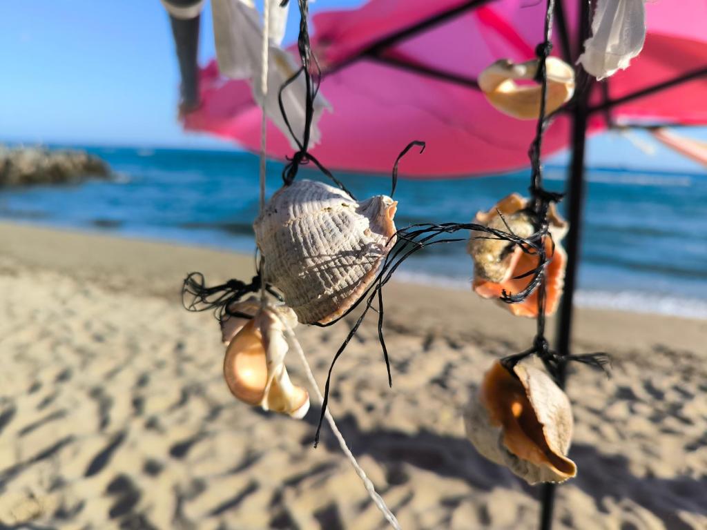 a hat and shells are hanging on a beach at William's apartments - second cozy studio in Sveti Vlas