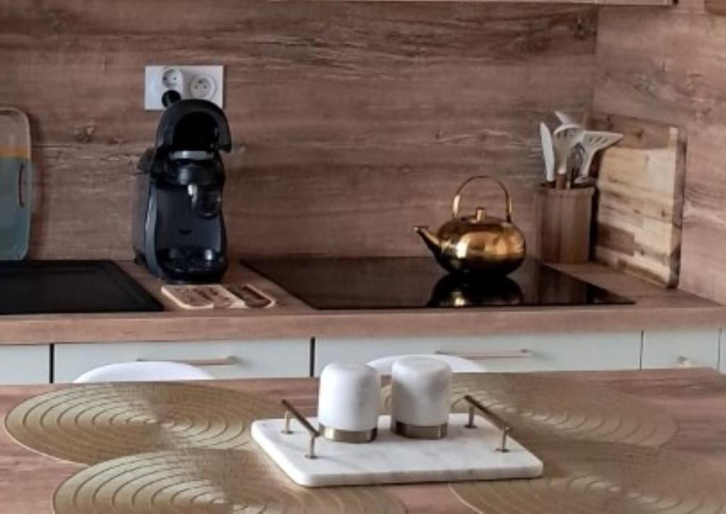a kitchen with a counter with a stove top oven at Appartement Soubise, le Bonheur Côté Mer in Soubise