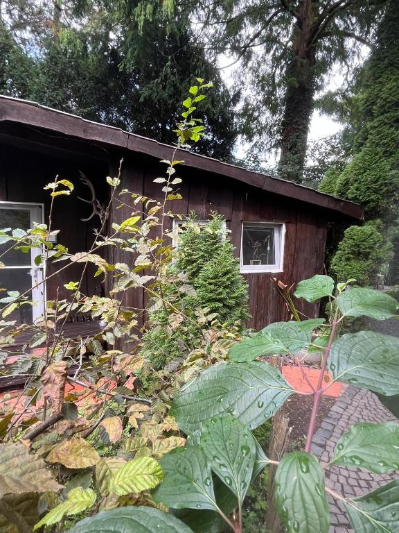 a small wooden cabin with plants in front of it at STUGA bei GRETA in Marl