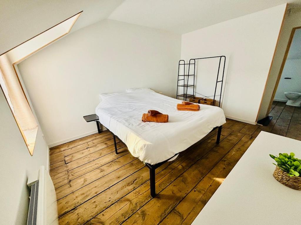 a bedroom with a bed and a mirror on the floor at Chaleureuse maison au coeur de l'Avesnois in Sains-du-Nord