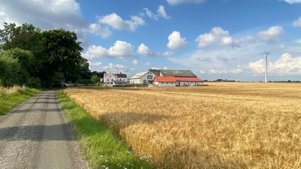 a field of wheat next to a house and a road at Kvarnviks Gård Close to Sea & Charming Country Stay in Klagstorp