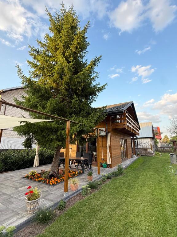 a backyard with a tree and a house at Domek pod świerkiem in Tereszpol Zaorenda
